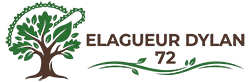 elagage-elagueur-dylan-72